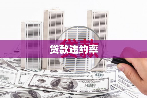 聂荣贷款违约率