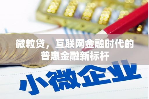 聂荣微粒贷，互联网金融时代的普惠金融新标杆