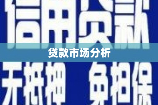 聂荣贷款市场分析
