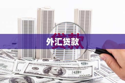 聂荣外汇贷款