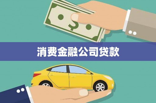 聂荣消费金融公司贷款