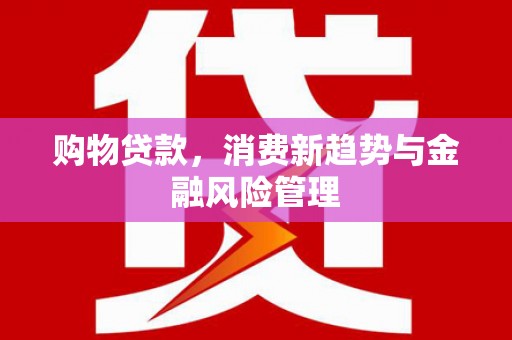 聂荣购物贷款，消费新趋势与金融风险管理
