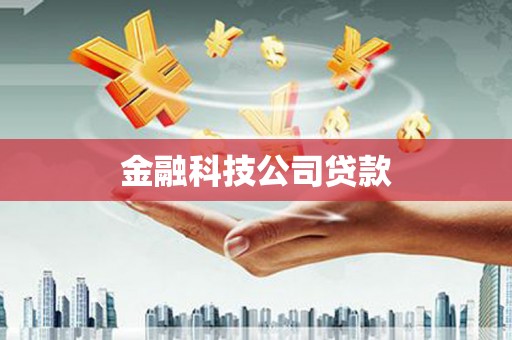 聂荣金融科技公司贷款