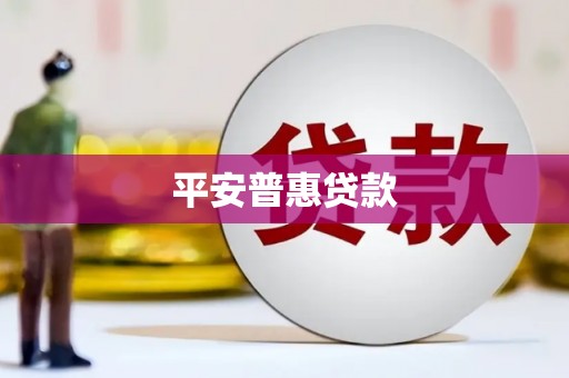 聂荣平安普惠贷款