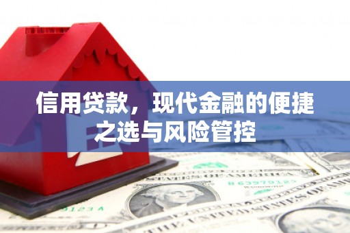 聂荣信用贷款，现代金融的便捷之选与风险管控