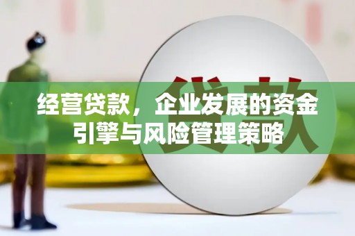 聂荣经营贷款，企业发展的资金引擎与风险管理策略