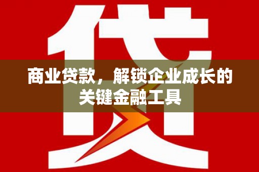 聂荣商业贷款，解锁企业成长的关键金融工具