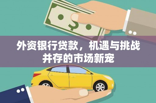 聂荣外资银行贷款，机遇与挑战并存的市场新宠