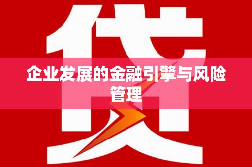 聂荣企业发展的金融引擎与风险管理
