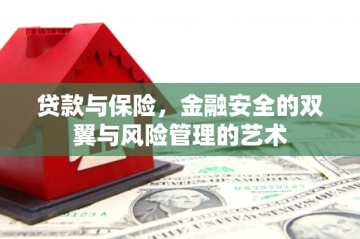 聂荣贷款与保险，金融安全的双翼与风险管理的艺术