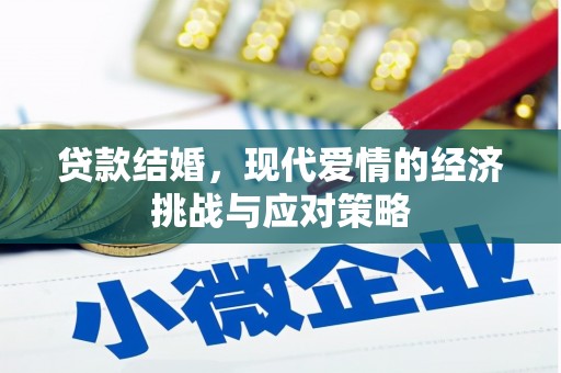 聂荣贷款结婚，现代爱情的经济挑战与应对策略