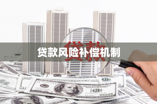 聂荣贷款风险补偿机制