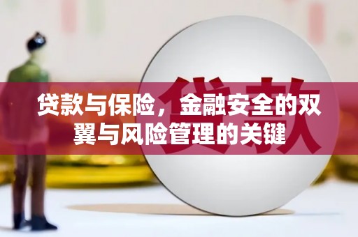 聂荣贷款与保险，金融安全的双翼与风险管理的关键