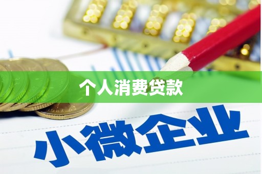 聂荣个人消费贷款