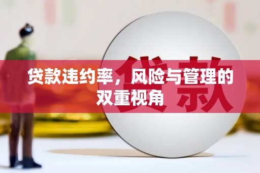 聂荣贷款违约率，风险与管理的双重视角