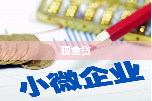 聂荣现金贷