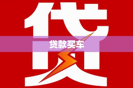 聂荣贷款买车