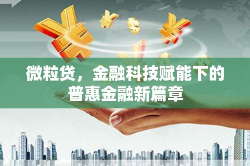 聂荣微粒贷，金融科技赋能下的普惠金融新篇章