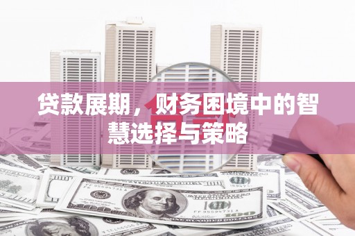 聂荣贷款展期，财务困境中的智慧选择与策略