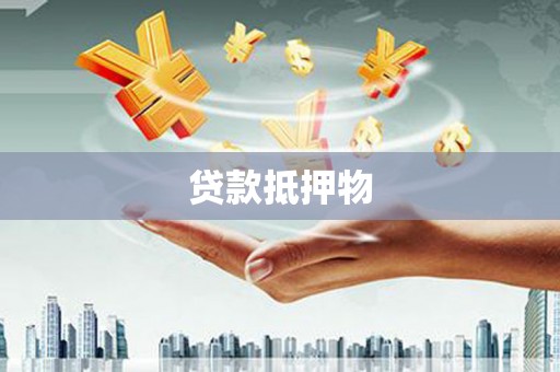 聂荣贷款抵押物