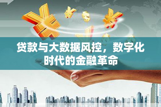 聂荣贷款与大数据风控，数字化时代的金融革命
