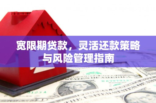 聂荣宽限期贷款，灵活还款策略与风险管理指南