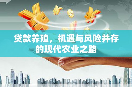 聂荣贷款养殖，机遇与风险并存的现代农业之路
