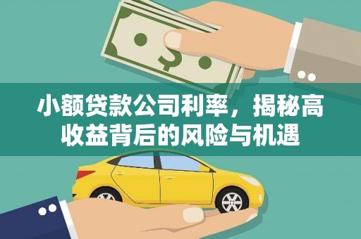 聂荣小额贷款公司利率，揭秘高收益背后的风险与机遇