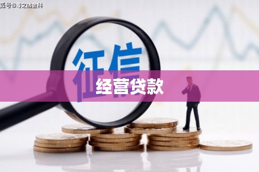 聂荣经营贷款