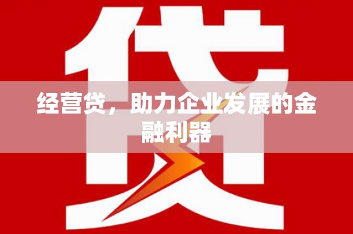 聂荣经营贷，助力企业发展的金融利器