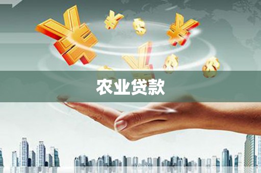 聂荣农业贷款
