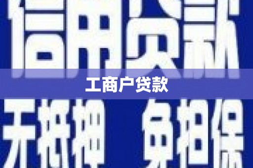 聂荣工商户贷款
