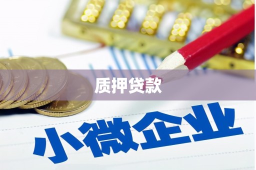 聂荣质押贷款
