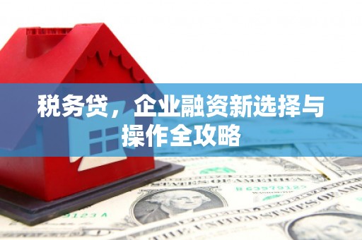 聂荣税务贷，企业融资新选择与操作全攻略