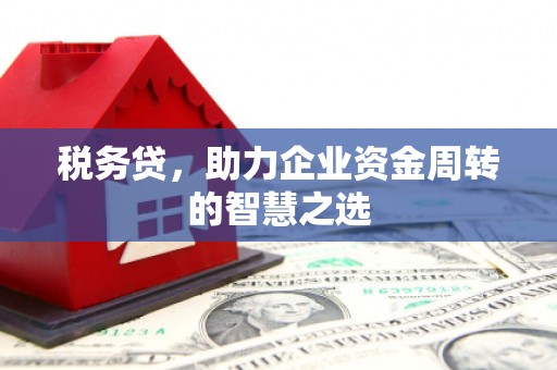 聂荣税务贷，助力企业资金周转的智慧之选
