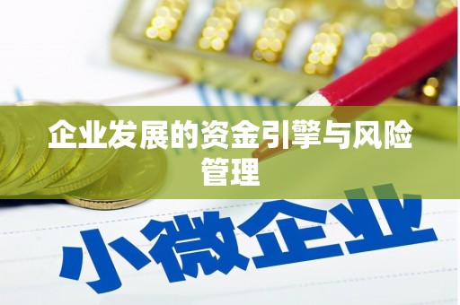 聂荣企业发展的资金引擎与风险管理