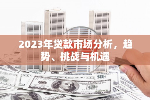 聂荣2023年贷款市场分析，趋势、挑战与机遇