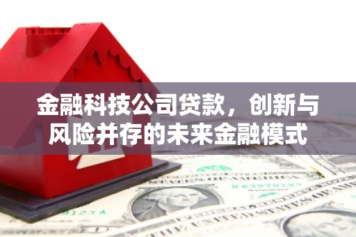聂荣金融科技公司贷款，创新与风险并存的未来金融模式
