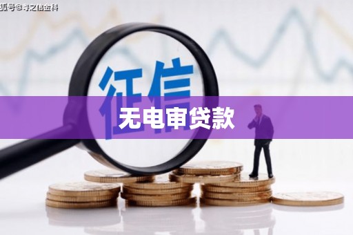 聂荣无电审贷款