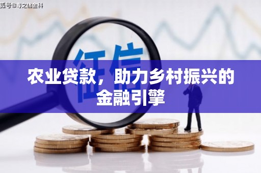 聂荣农业贷款，助力乡村振兴的金融引擎
