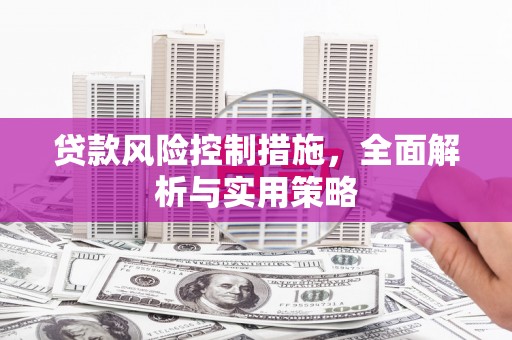 聂荣贷款风险控制措施，全面解析与实用策略