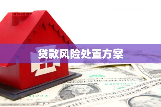 聂荣贷款风险处置方案