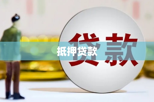 聂荣抵押贷款