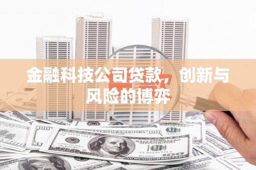 聂荣金融科技公司贷款，创新与风险的博弈