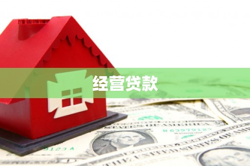 聂荣经营贷款