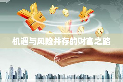 聂荣机遇与风险并存的财富之路