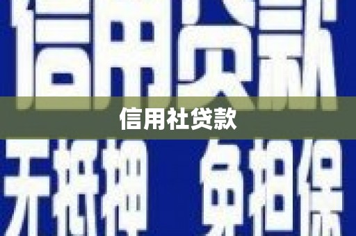 聂荣信用社贷款