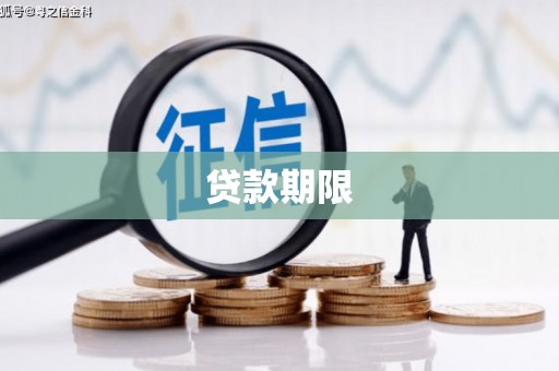 聂荣贷款期限