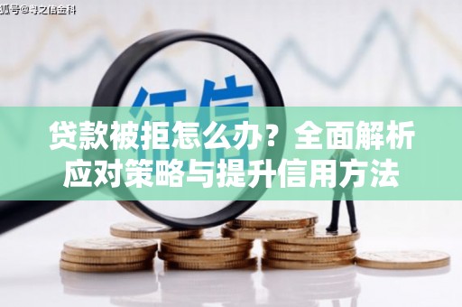 聂荣贷款被拒怎么办？全面解析应对策略与提升信用方法