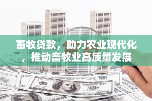 聂荣畜牧贷款，助力农业现代化，推动畜牧业高质量发展